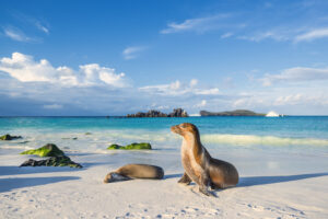 Galapagos Travel Guide, What to Expect from This Beautiful Country
